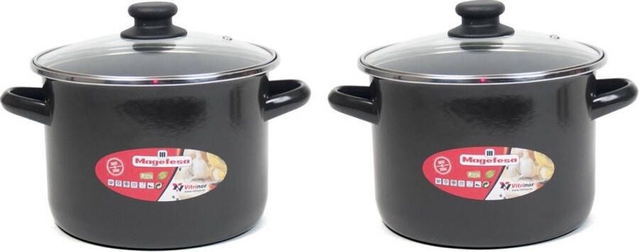 MAGEFESA Set van 2x stuks rvs kookpan pannen met glazen deksel 18 cm 3 liter pannen voor soep