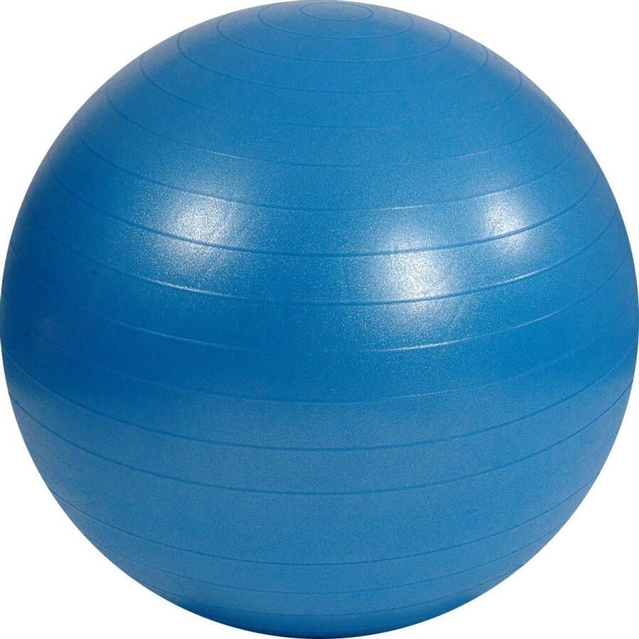 Mambo Max Zitbal AB 75 cm Blauw | Gymbal | Met pomp