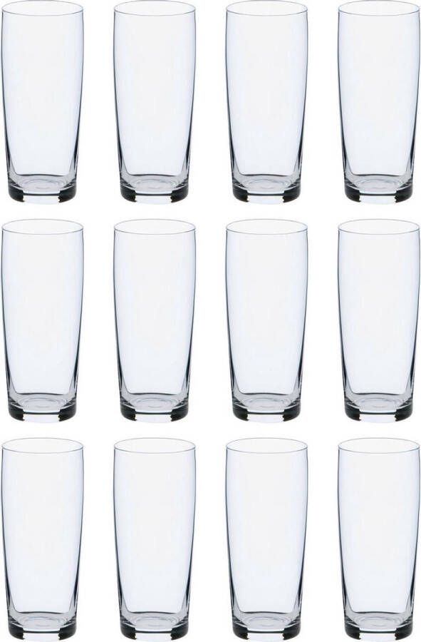 Mammoet Budgetline Bierglas Fluitje (12x 19cl)