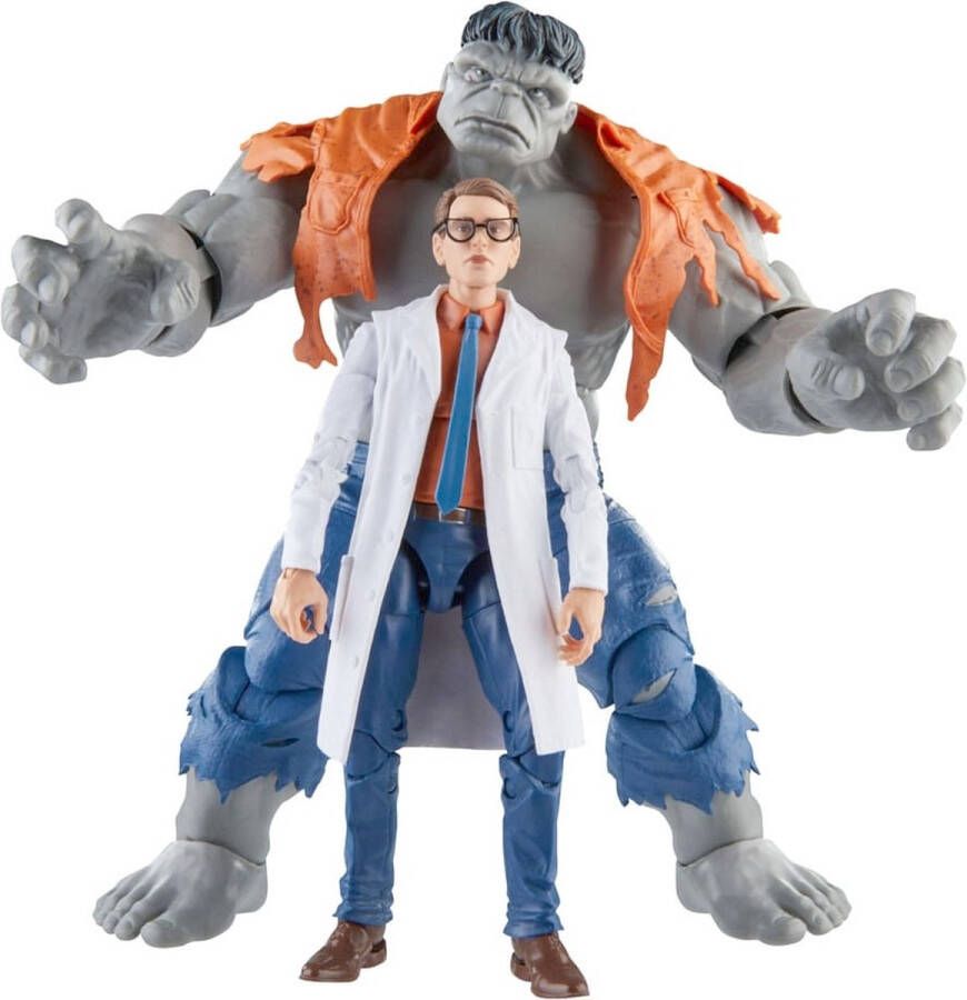 Marvel Hasbro The Avengers: Beyond Earth's Mightiest Legends Gray Hulk & Dr. Bruce Banner 15 cm Actiefiguur Multicolours