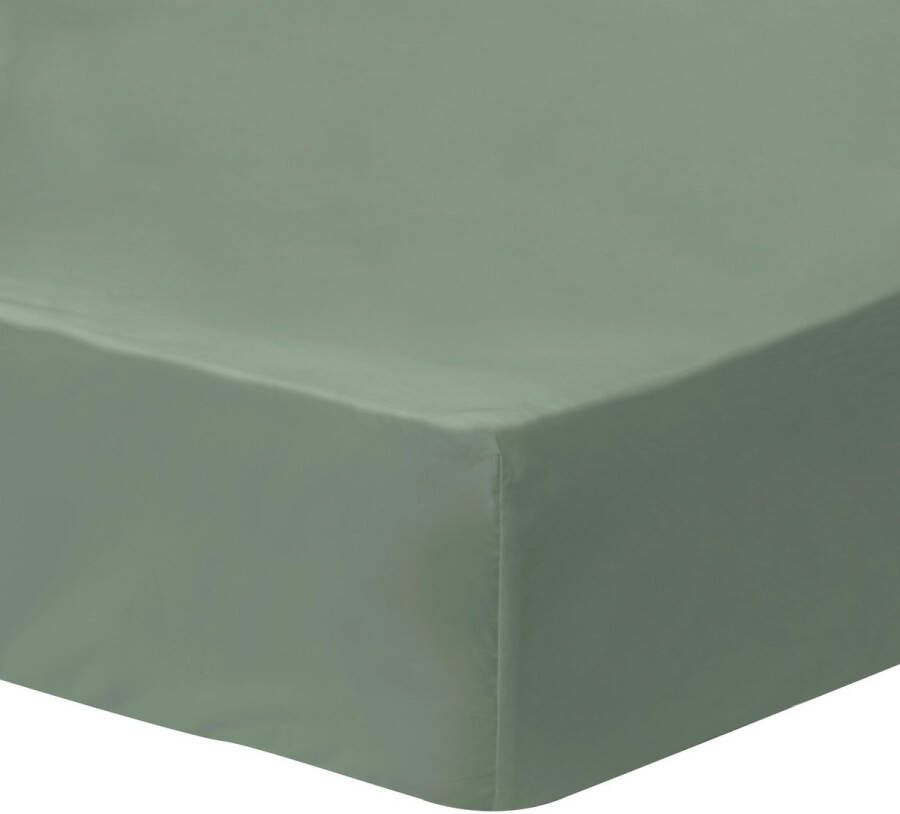 Matt & Rose Hoeslaken Mosgroen Tweepersoons 160 x 190 200 cm Gewassen Katoen