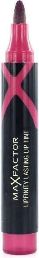 Max Factor Lipfinity Lasting Lipstick 06 Royal Plum