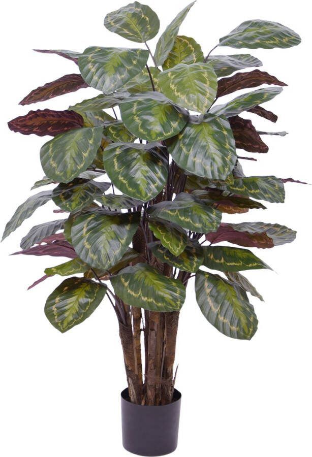 Maxifleur Kunstplanten Calathea Roseopicta kunstplant Deluxe 125cm rood