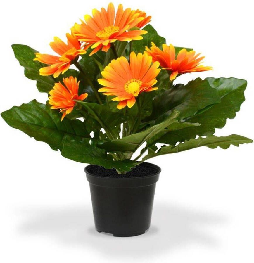 Maxifleur Kunstplanten Maxifleur Gerbera Kunstplant In pot 30cm Oranje