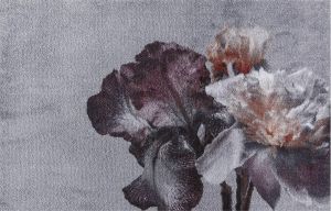 MD-Entree MD Entree Schoonloopmat Soft&Deco Wild Flower 67 x 100 cm