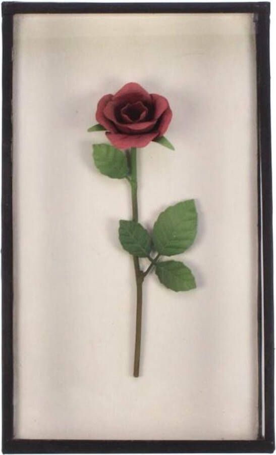 Meander elegant home accesoires Roze roos in kastje glazen vitrinekast staand of hangend display