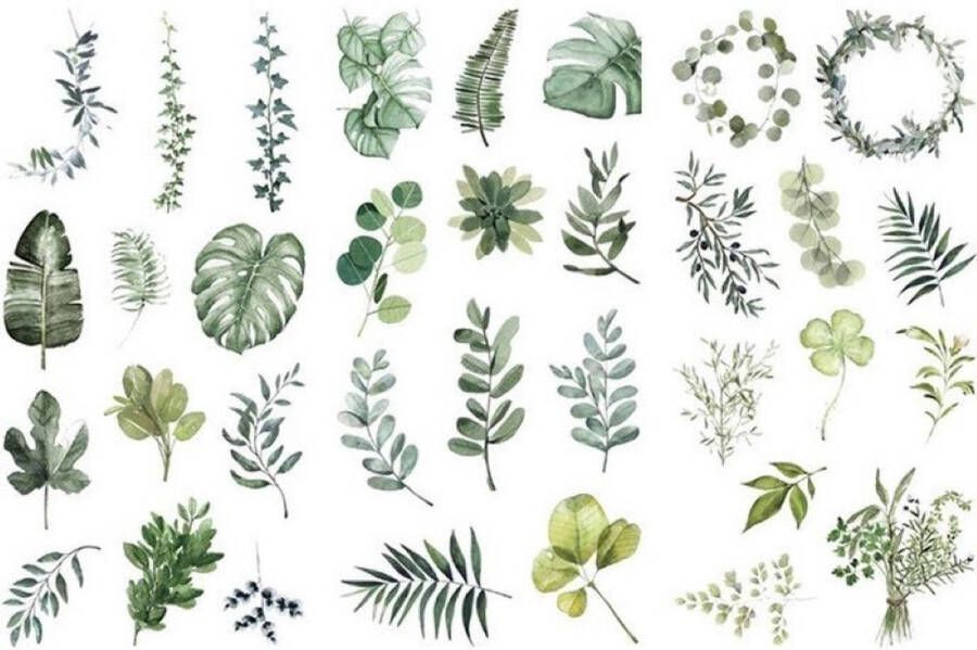 Meer Leuks Botanical stickerset 3 vellen stickers blaadjes Hobbystickers voor o.a. bulletjournal scrapbooking en kaarten maken