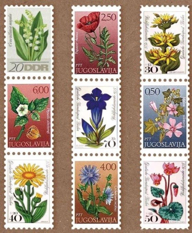 Meer Leuks Postzegel Tape Bloemen Washi tape Flowers Tape in postzegelvorm Leuk voor oa. Bulletjournal Scrapbooking Agenda's en Kaarten maken