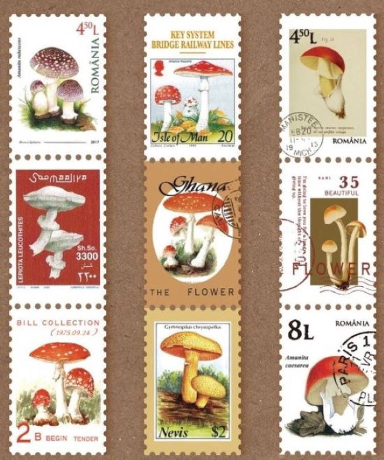 Meer Leuks Postzegel Tape Paddenstoelen Washi tape Mushrooms Tape in postzegelvorm Leuk voor oa. Bulletjournal Scrapbooking Agenda's en Kaarten maken
