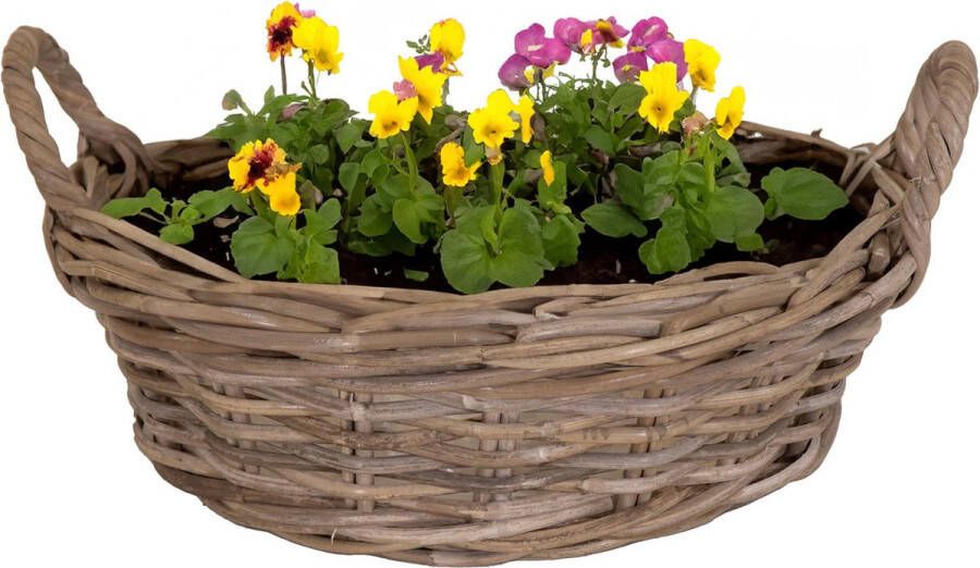 Mega Collections Planten bloemen mand Levi rotan laag model schaal D40 x H13 cm plantenpot voor buiten