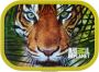 Mepal Campus bento lunchbox Broodtrommel 750 ml Animal planet tijger - Thumbnail 1