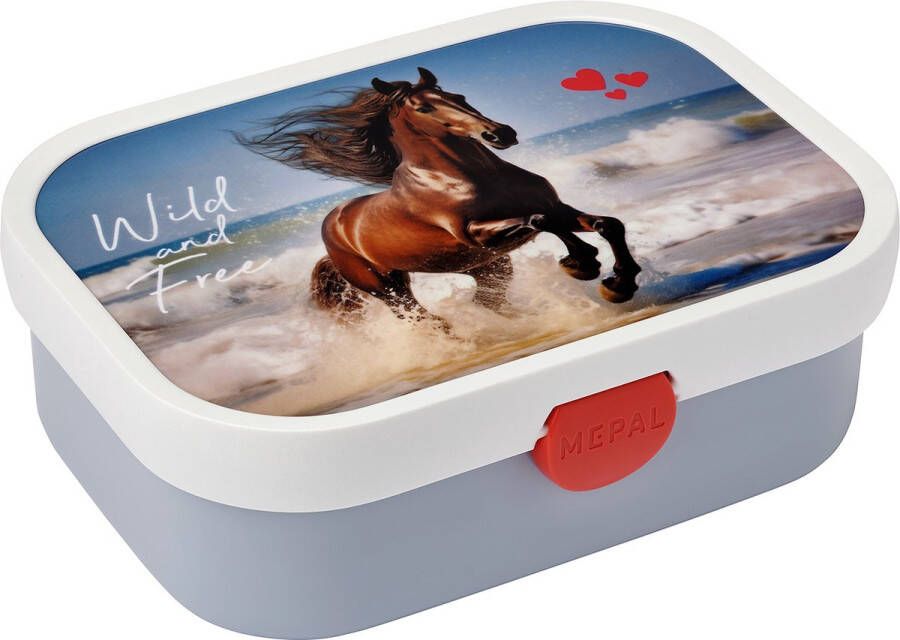 Mepal lunchbox Campus – Broodtrommel met vakjes voor kinderen – Geschikt voor 4 boterhammen – Wild Horse