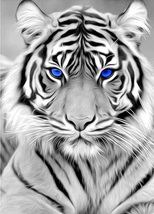 'merkloos'' Diamond painting tijger 40x50 vierkante steentjes