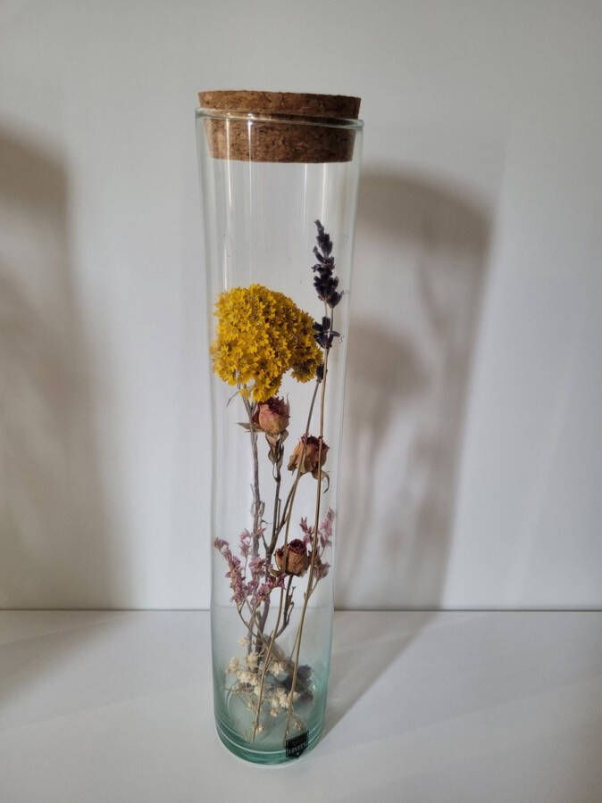 Merkloos Droogbloemen in glazen tube 30 cm