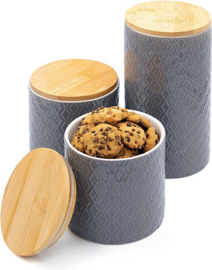 Merkloos Keramische voorraadpotten met deksels set van 3 Vaatwasmachinebestendig & luchtdicht voor koffie thee & kruiden (Grijs)