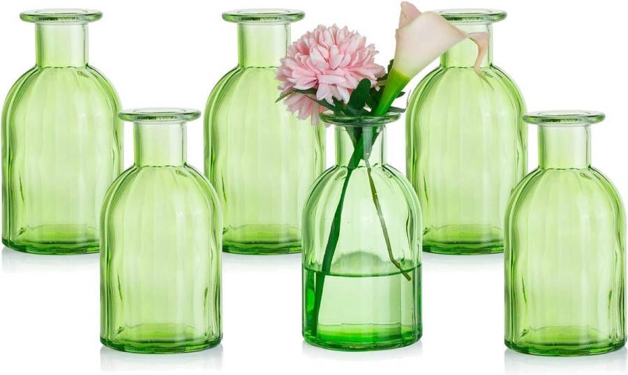 Merkloos Kleine vazenset glazen vaas 6 stuks mini-bloemenvaas groen vintage glas rond glazen vazen flessenvaas kleurrijk klein geribbeld tafelvaas vazenset glazen fles decoratie voor