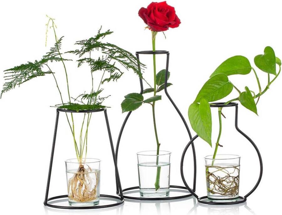 Merkloos Set van 3 creatieve desktop bloempotten met glazen bekers vazen ​​en metalen ijzeren standaard voor waterplanten bloemstukken decoratie (3 stuks)