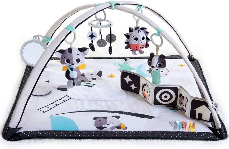 Merklooss Baby Speelkleed Met Boog Babyspeelgoed 0 Jaar Kinderspeelgoed 1 Jaar Speelmat Babygym Zwart met Wit