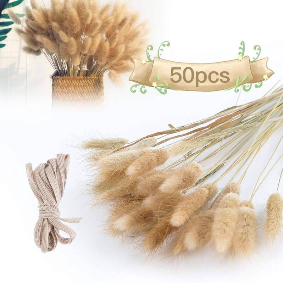 Merklose 50 stuks droogbloemen pampasgras decoratie gedroogd grote natuur boeket bloemen grassen bloemenboeket pampas decoratie voor bruiloft interieurdecoratie slaapkamer woonkamer