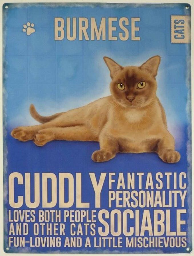 Metal signs UK Wandbord Burmese Cat -30x40cm