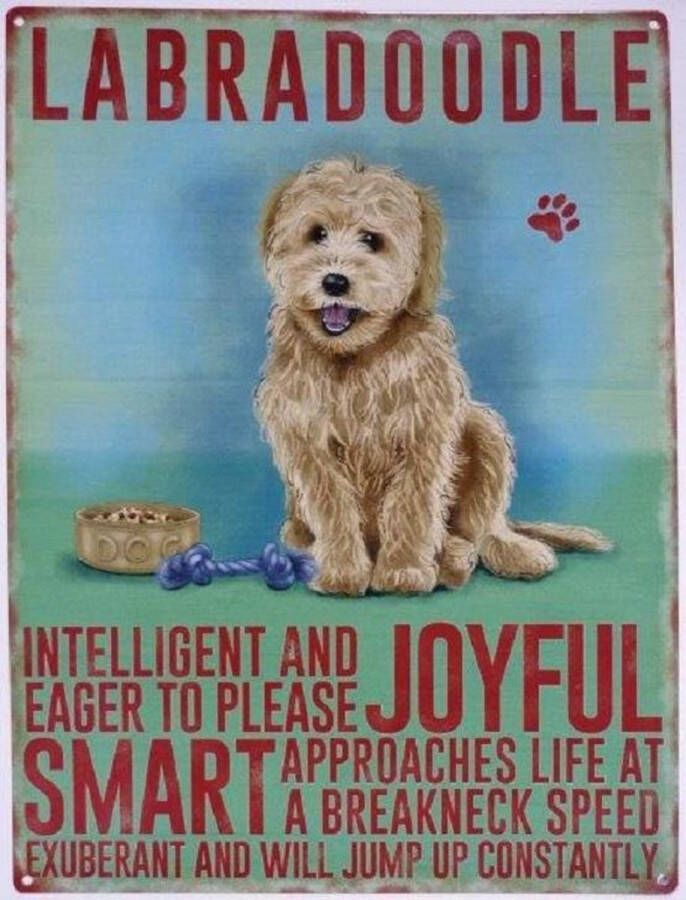 Metal signs UK Wandbord Labradoodle -30x40cm