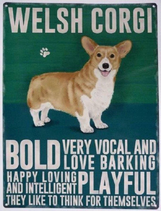 Metal signs UK Wandbord Welsh Corgi -30x40cm