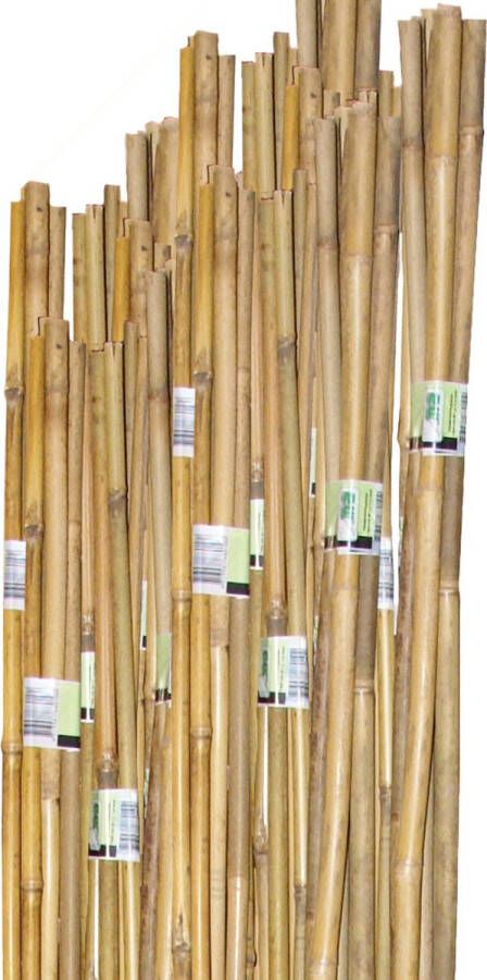 Meuwissen Agro Tonkinstokken Bamboestokken Plantensteunen 6-8 mm 60 cm 10 stuks
