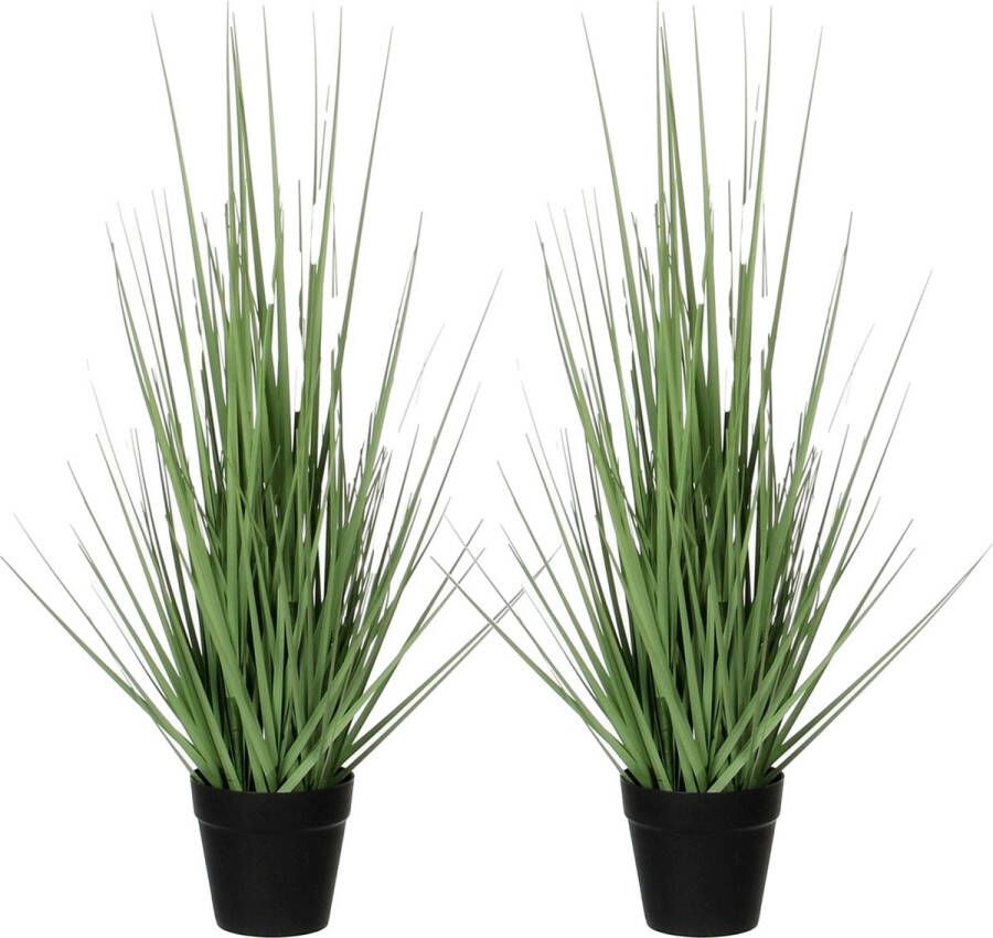 Mica Decorations 2x stuks gras kunstplant groen H53 x D30 cm Kunstplanten