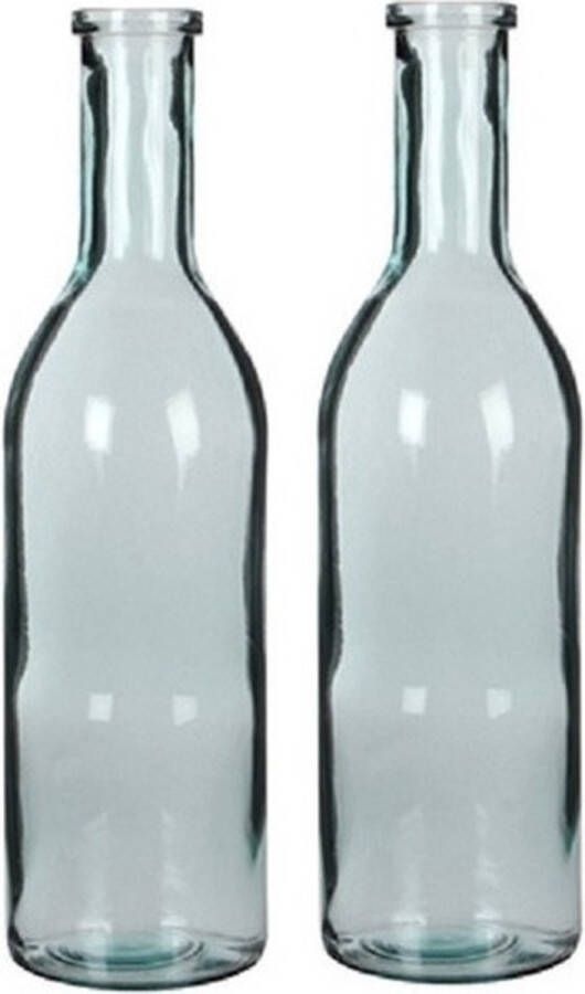 Merkloos Sans marque 2x Glazen fles bloemenvaas transparant 50 x 15 cm Sierflessen woondecoratie woonaccessoires