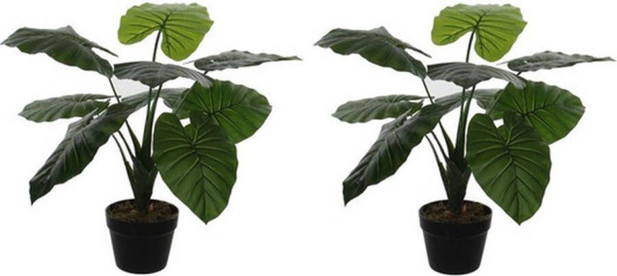 Mica Decorations 2x Groene Colocasia Taro kunstplant 60 cm in zwarte plastic pot Kunstplanten nepplanten 2 stuks