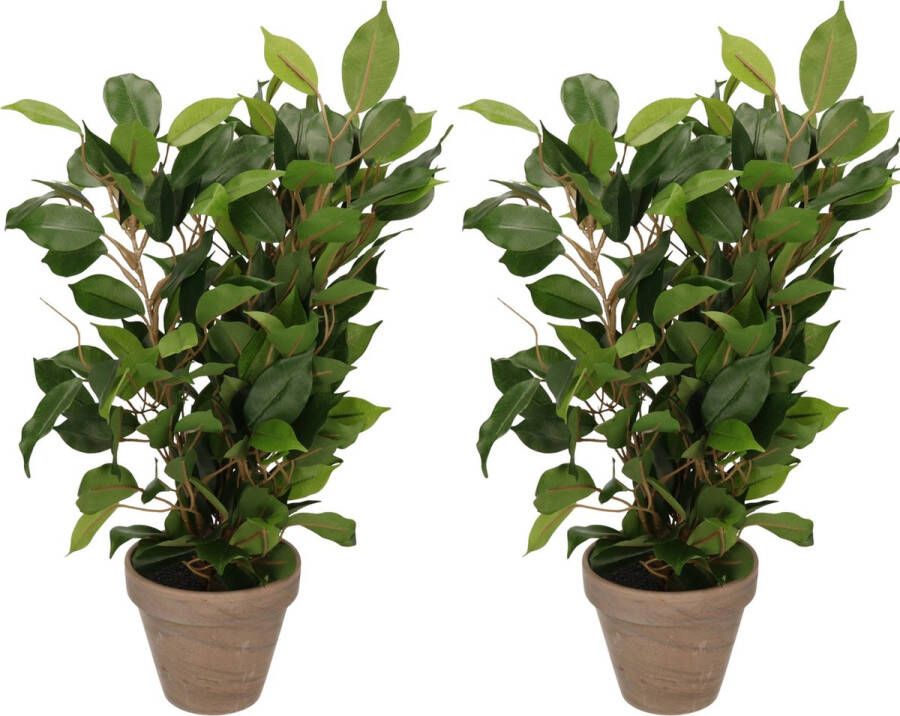 Merkloos Sans marque 2x Groene ficus kunstplanten 40 cm voor binnen kunstplanten nepplanten binnenplanten. U ontvangt 2 stuks.