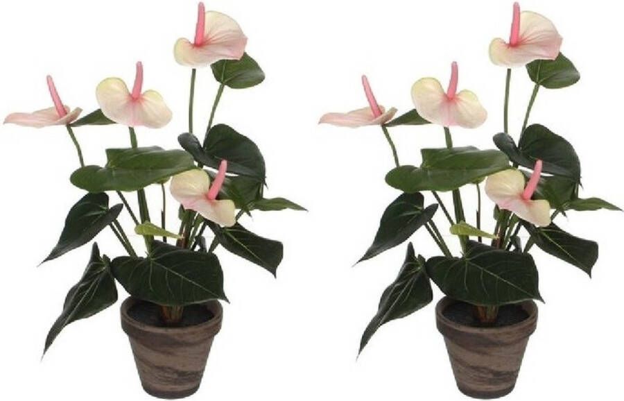 Merkloos Sans marque 2x Licht roze Anthurium kunstplanten 40 cm in grijze plastic pot Kunstplanten nepplanten
