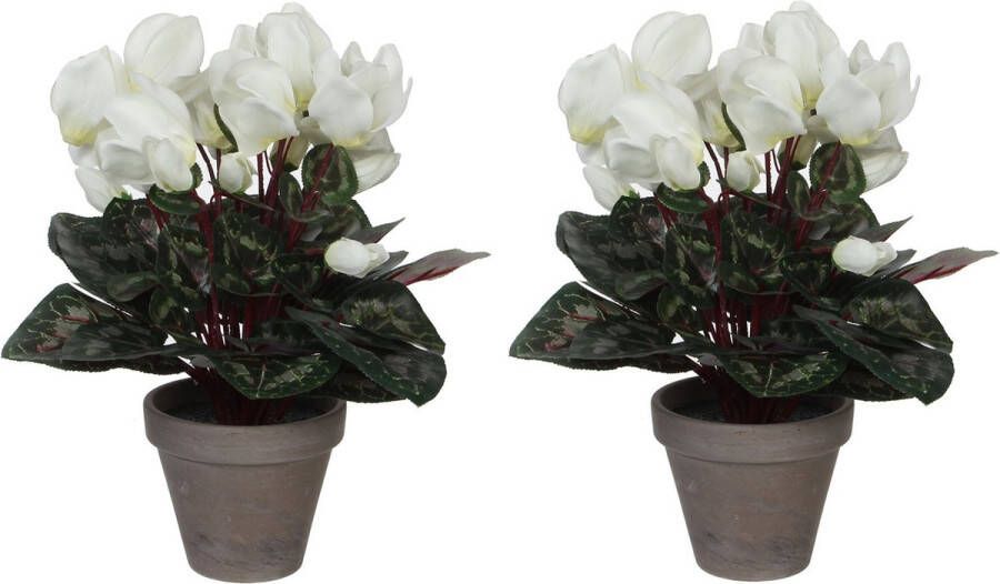 Mica Decorations 2x stuks cyclaam kunstplanten wit in keramieken pot H30 x D30 cm Kunstplanten nepplanten