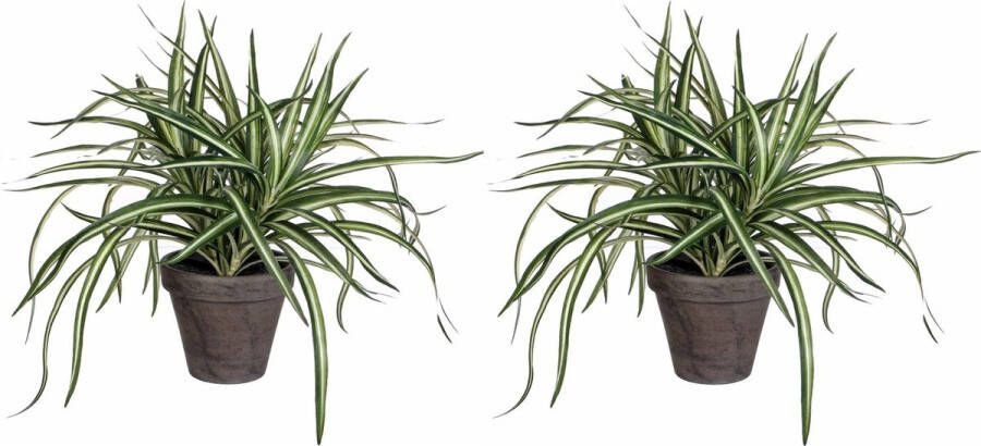 Mica Decorations 2x stuks dracaena kunstplanten groen in grijze pot H34 cm x D40 cm Kunstplanten