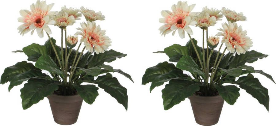Mica Decorations 2x stuks gerbera kunstplanten creme in keramiek pot H35 cm Kunstplanten nepplanten met bloemen