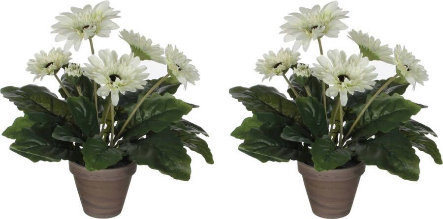 Mica Decorations 2x stuks gerbera kunstplanten wit in keramiek pot H35 cm Kunstplanten nepplanten met bloemen