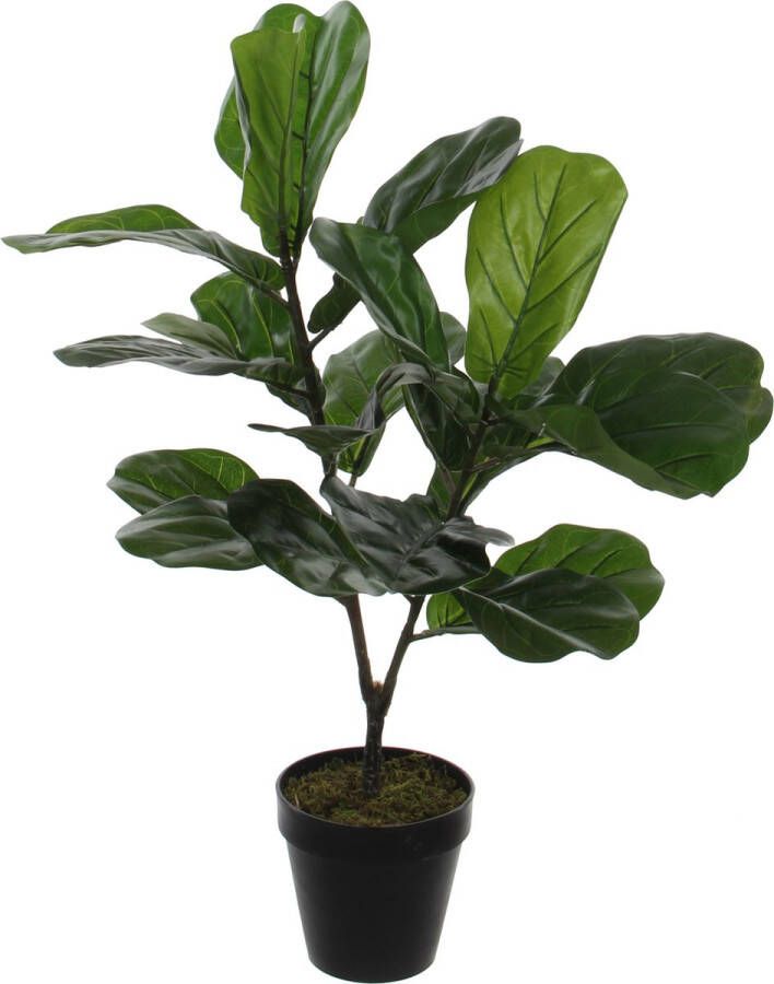 Mica Decorations 2x stuks groene ficus Lyrata kunstplant 75 cm voor binnen kunstplanten nepplanten binnenplanten met pot