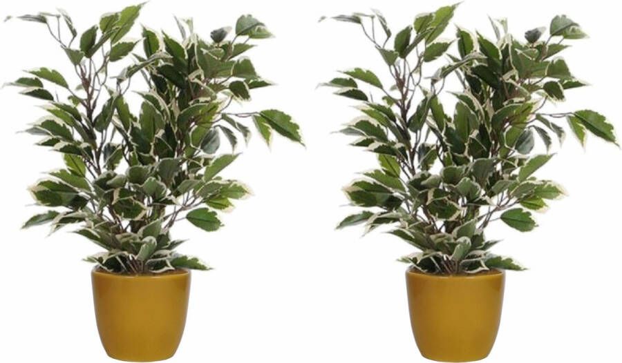 Mica Decorations 2x stuks groen witte ficus kunstplant 40 cm met plantenpot okergeel D13.5 en H12.5 cm Kunstplanten