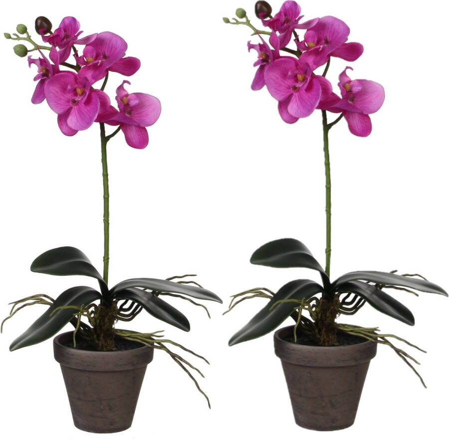 Mica Decorations 2x stuks phalaenopsis Orchidee kunstplanten paars in pot H48 x D13 cm Kunstplanten nepplanten met bloemen