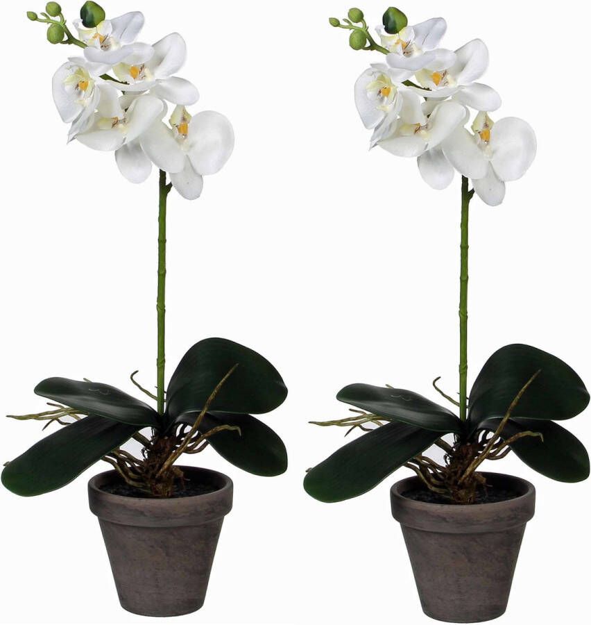 Mica Decorations 2x stuks phalaenopsis Orchidee kunstplanten wit in pot H48 x D13 cm Kunstplanten nepplanten met bloemen