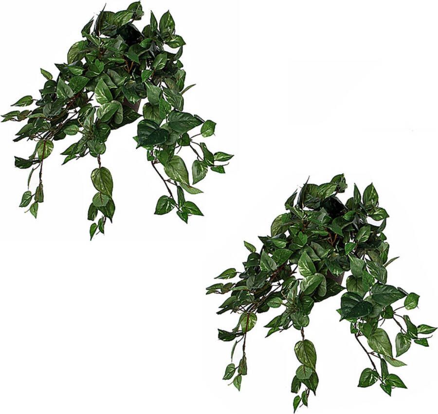 Mica Decorations 2x stuks scindapsus Drakenklimop kunstplanten groen L45 x B25 x H25 cm hangplant Kunstplanten nepplanten