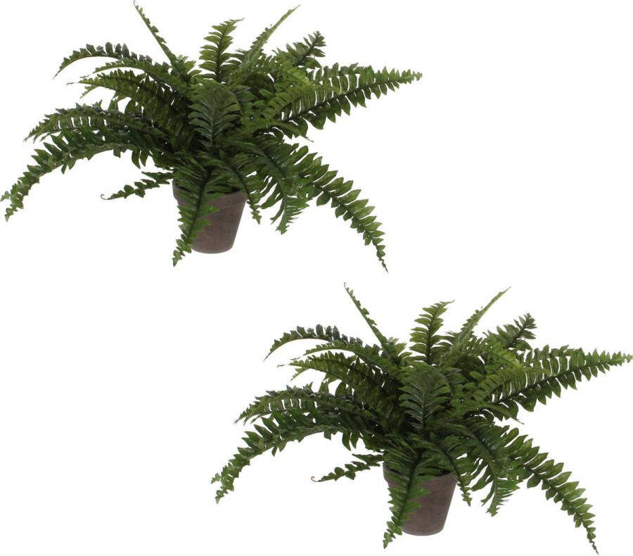 Mica Decorations 2x stuks varen kunstplanten groen in terracotta pot H42 cm Kunstplanten nepplanten