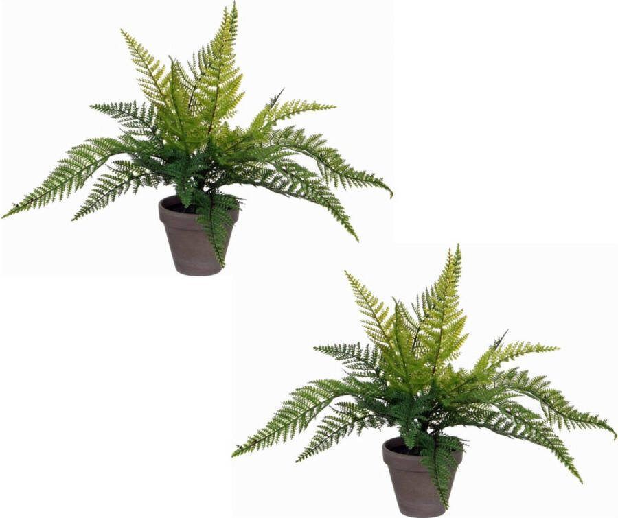 Mica Decorations 2x stuks varen kunstplanten kamerplanten groen H40 cm x D36 cm Kunstplanten nepplanten
