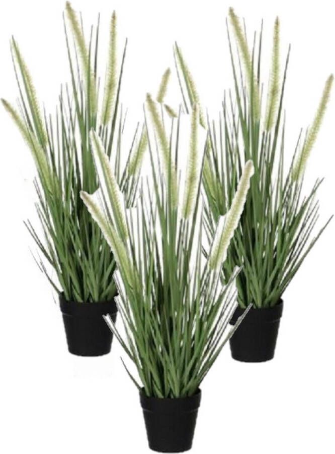 Mica Decorations 3x stuks groene Dogtail siergras kunstplant 53 cm in zwarte pot Kunstplanten nepplanten