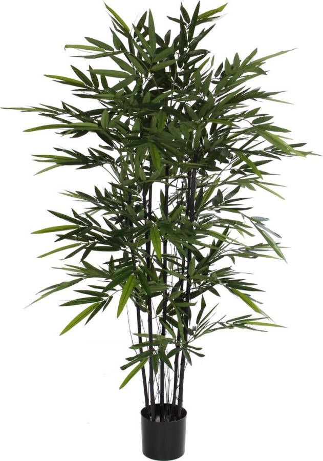 Mica Decorations Bamboe H140d95 Groen Met Zwarte Stammen Zwart