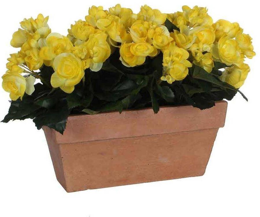 Mica Decorations begonia geel in balkonbak slate terra 29x13x25