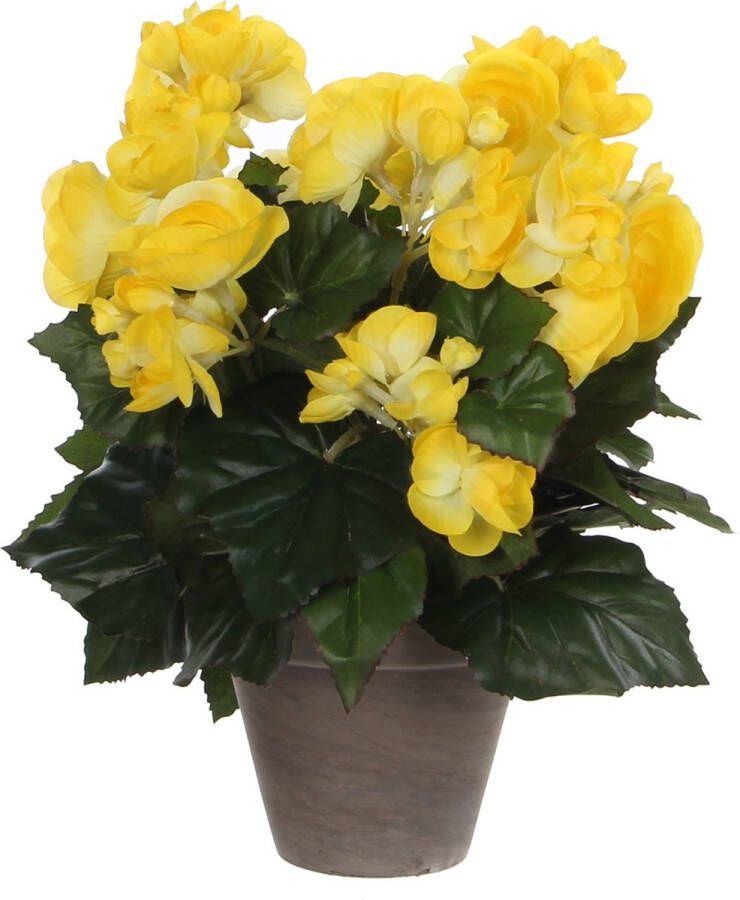Merkloos Sans marque Mica Decorations Begonia Kunstplant in Bloempot Stan H30 x Ø25 cm Geel