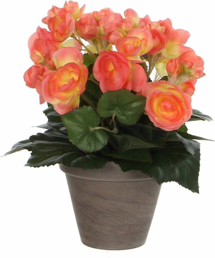 Merkloos Sans marque Zalmroze Begonia kunstplant met bloemen 30 cm in grijze pot Kunstplanten nepplanten Voor binnen