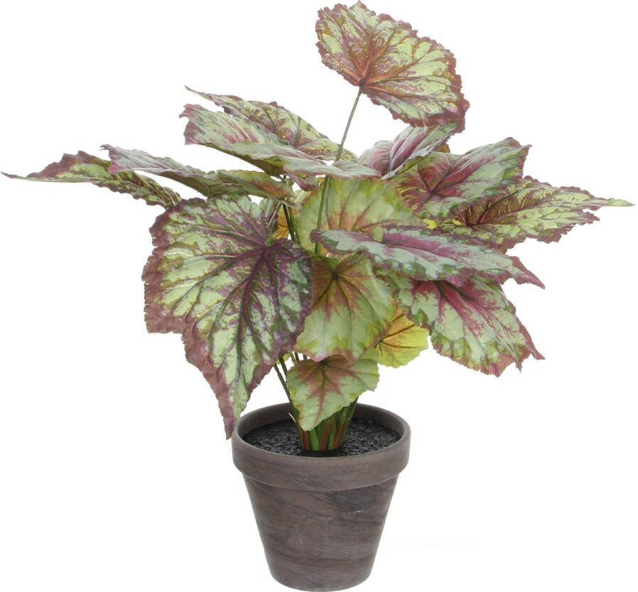 Mica Decorations Begonia Kunstplant in Bloempot Stan H40 x Ø38 cm Rood