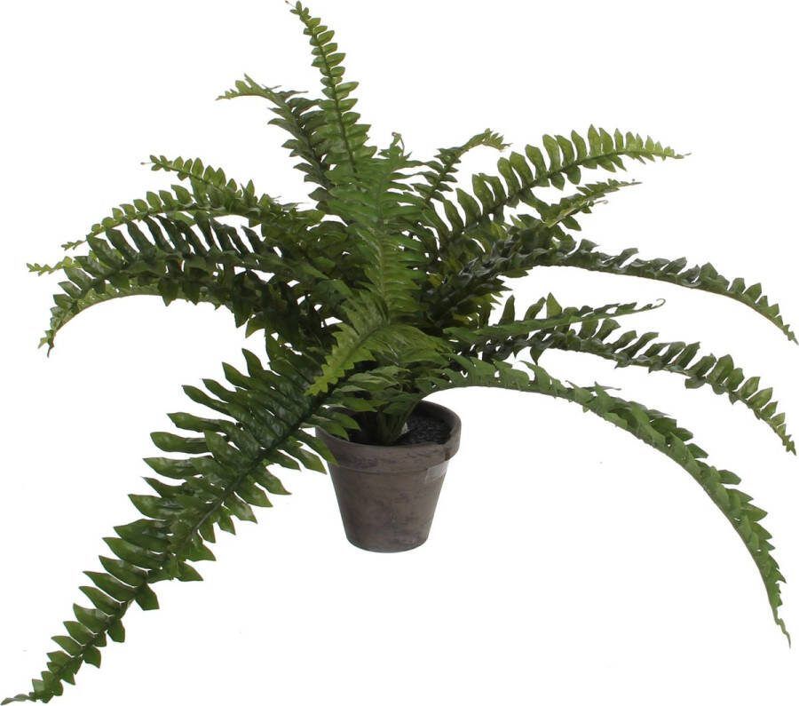 Mica Decorations Boston Varen Kunstplant in Bloempot Stan H35 x Ø45 cm Groen